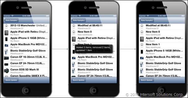 Universal Data Management on iPhone
